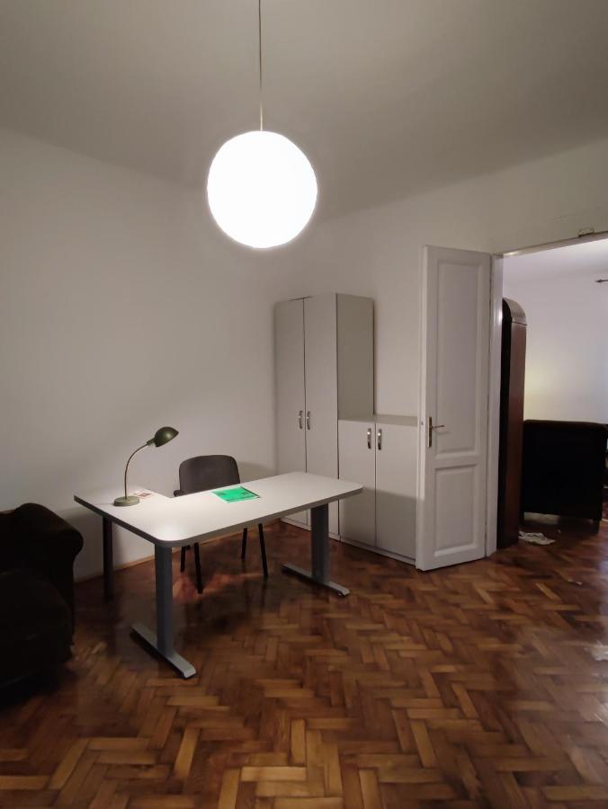 Vintage Apartment In The Center Of Novi Sad Esterno foto