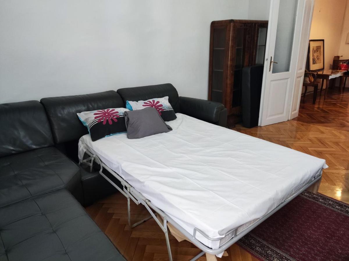 Vintage Apartment In The Center Of Novi Sad Esterno foto